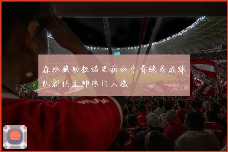 森林狼助教诺里获公牛青睐或成球队新任主帅热门人选